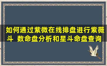  如何通过紫微在线排盘进行紫薇斗  数命盘分析和星斗命盘查询
